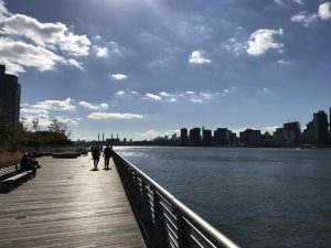 boardwalk