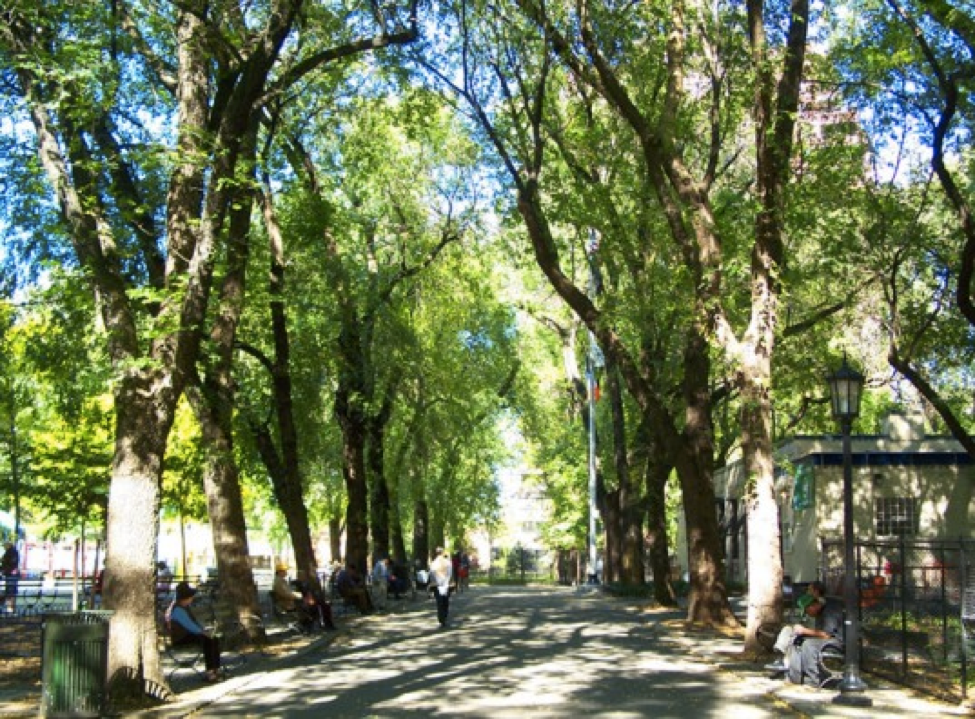 Figure 30: Seward Park in Spring