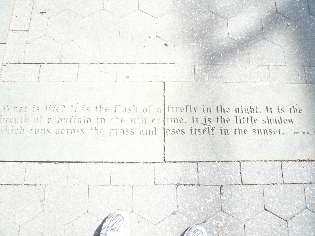 Arbol Just Another Macaulay Eportfolio