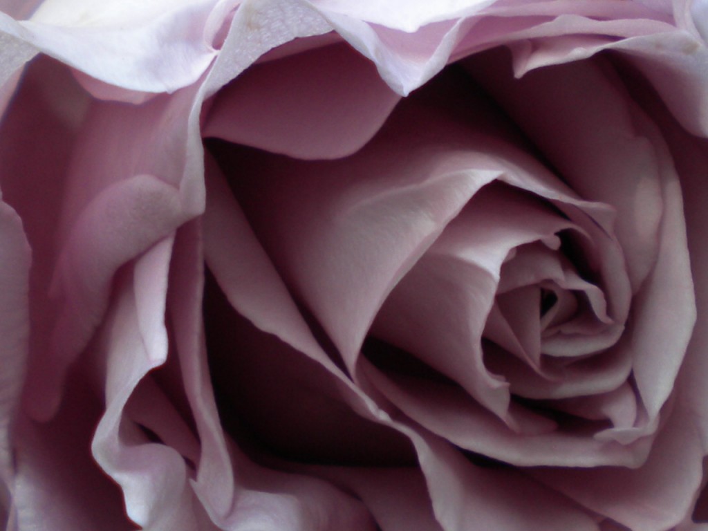 T Lehrfield Just Another Macaulay Eportfolio