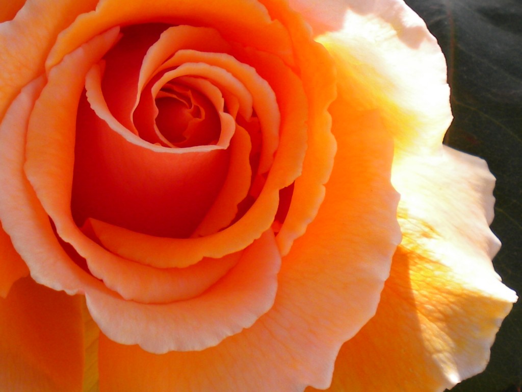 T Lehrfield Just Another Macaulay Eportfolio